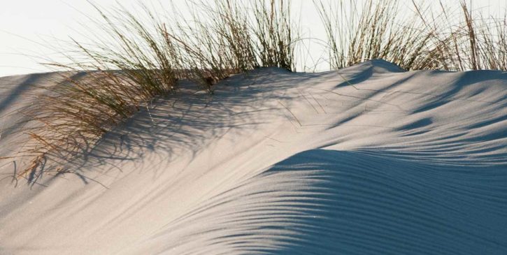 Sesso tra le dune - Racconto erotico anonimo