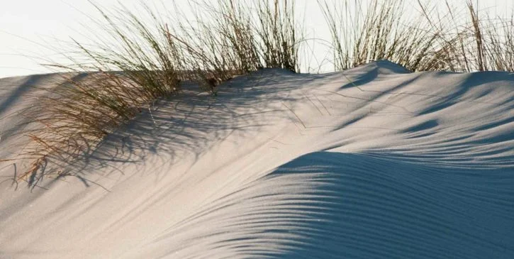 Sesso tra le dune - Racconto erotico anonimo