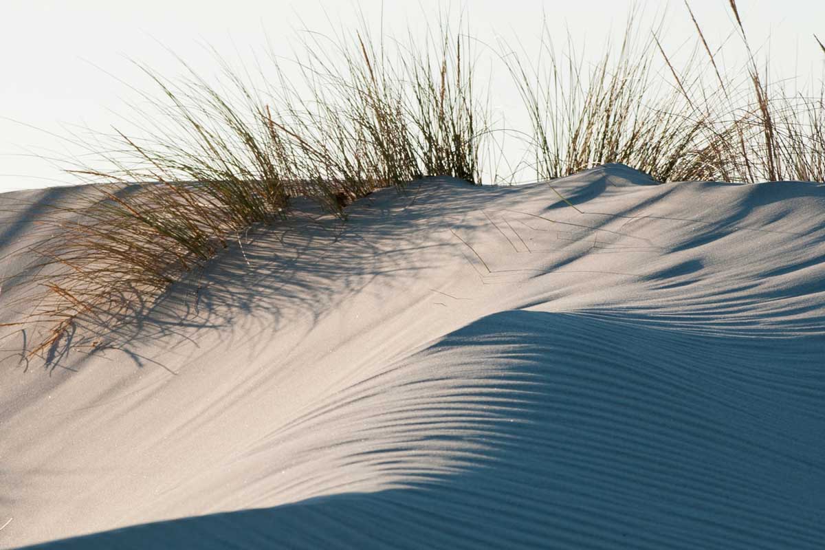 Sesso tra le dune - Racconto erotico anonimo